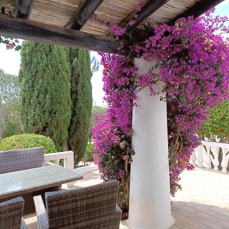 Quinta Do Paraiso - Casa Colynda การ์วอยโร ภายนอก รูปภาพ