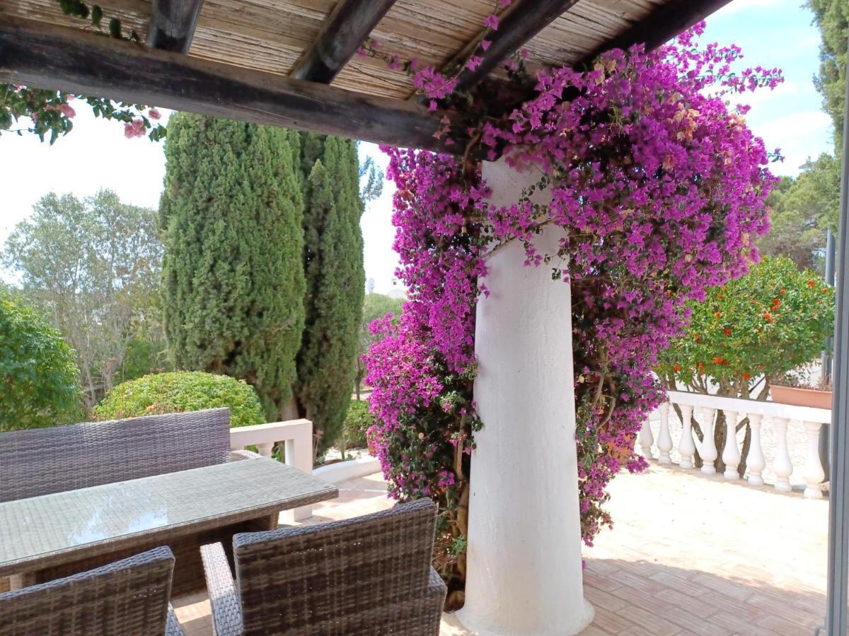 Quinta Do Paraiso - Casa Colynda การ์วอยโร ภายนอก รูปภาพ